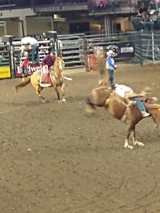 Blue Arena at The Ranch Events Complex - Photo 7