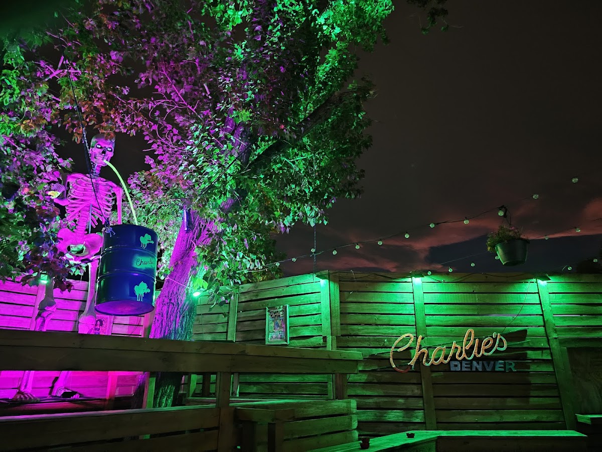 Charlie's Denver - Photo 10