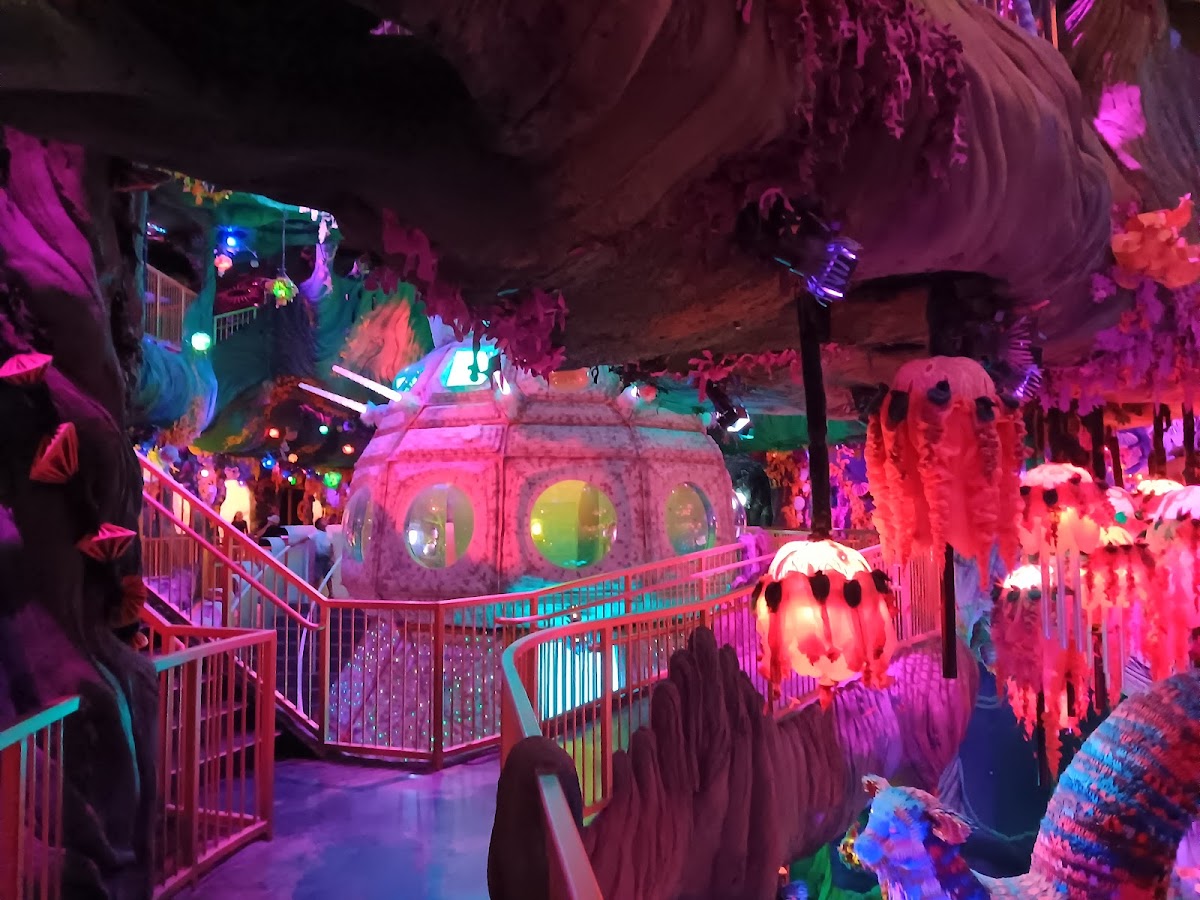 Meow Wolf Denver - Photo 6