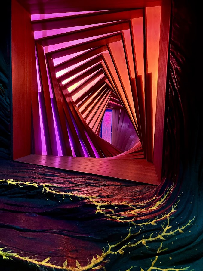 Meow Wolf Denver - Photo 7